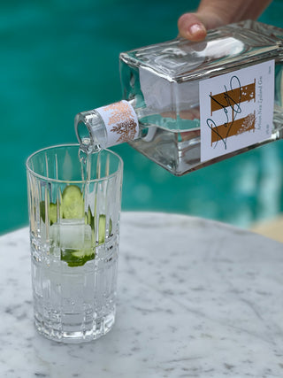 Lady H Gin and Glass